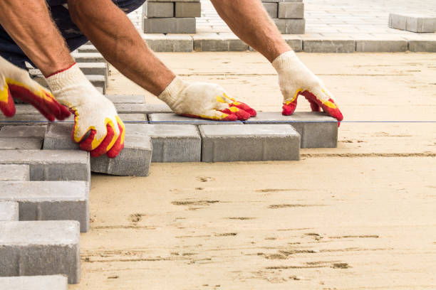 Best Local Driveway Pavers  in Union Park, FL