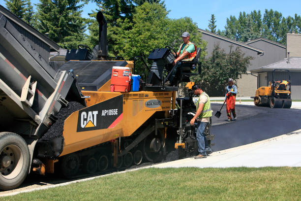 Professional Driveway Pavers in Union Park, FL